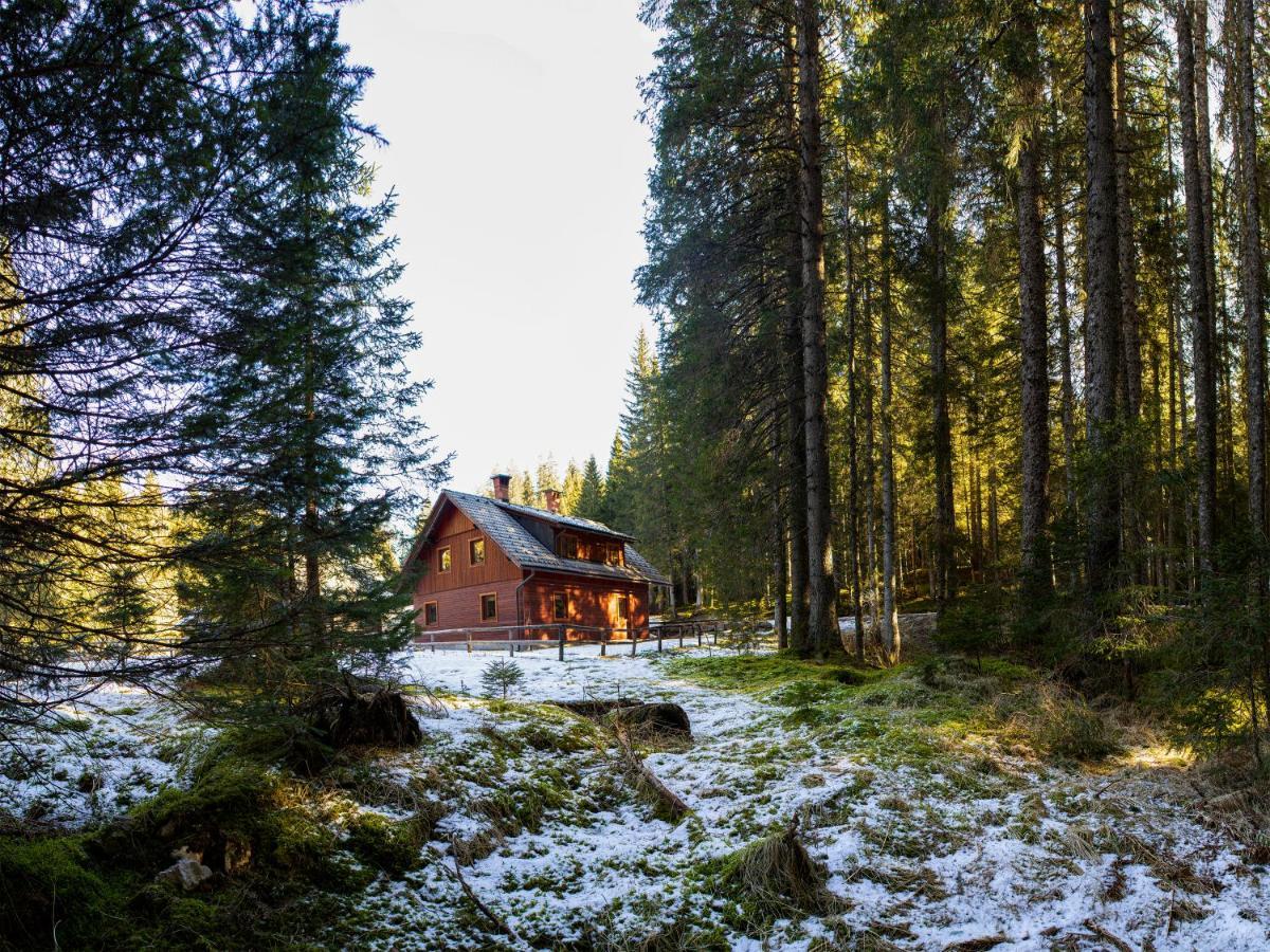 Digital Detox Pokljuka * Goreljek
