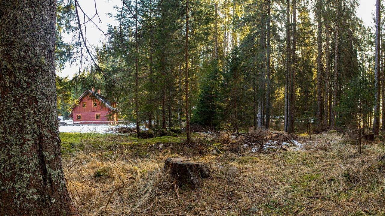 Digital Detox Pokljuka *