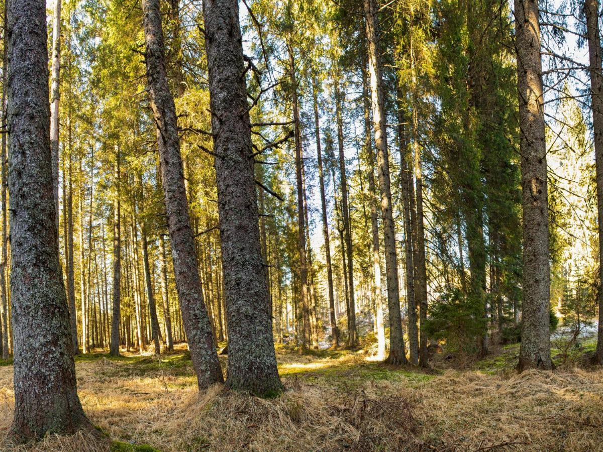 Digital Detox Pokljuka Apartment Goreljek
