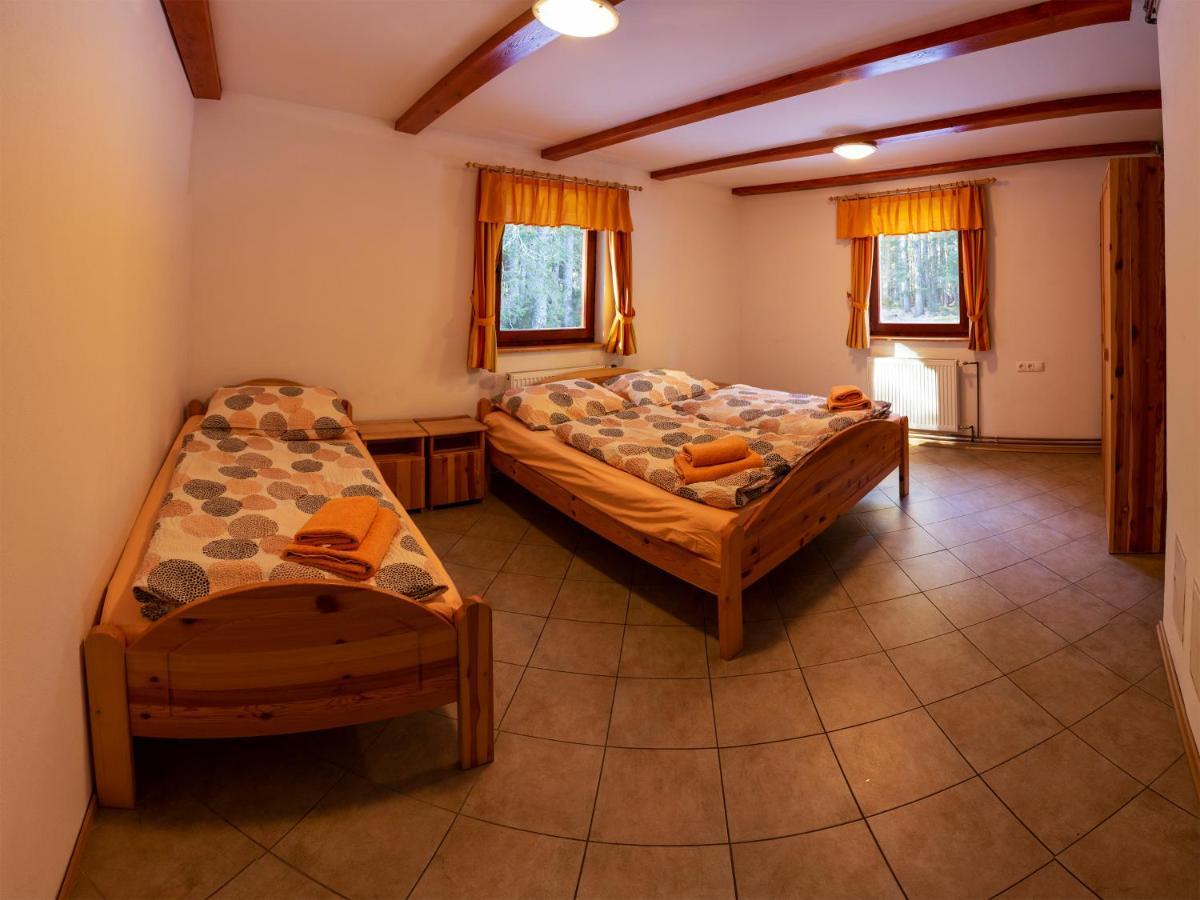 Digital Detox Pokljuka *