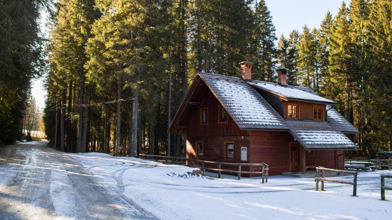 Digital Detox Pokljuka Goreljek